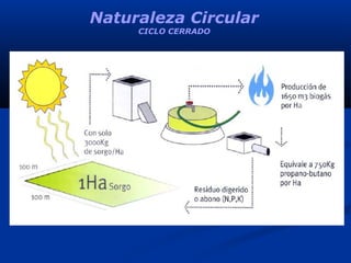 Naturaleza Circular
CICLO CERRADO
 