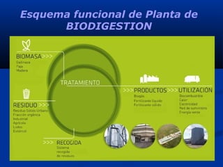 Esquema funcional de Planta de
BIODIGESTION
 