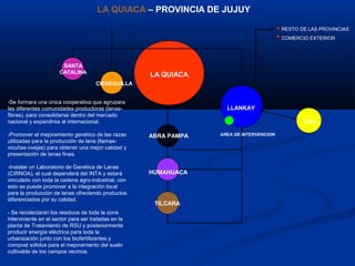 LA QUIACA
LLANKAY
YAVI
CIENEGUILLA
SANTA
CATALINA
ABRA PAMPA
HUMAHUACA
TILCARA
RESTO DE LAS PROVINCIAS
COMERCIO EXTERIOR
-Se formara una única cooperativa que agrupara
las diferentes comunidades productoras (lanas-
fibras), para consolidarse dentro del mercado
nacional y expandirse al internacional.
-Promover el mejoramiento genético de las razas
utilizadas para la producción de lana (llamas-
vicuñas-ovejas) para obtener una mejor calidad y
presentación de lanas finas.
-Instalar un Laboratorio de Genética de Lanas
(CIRNOA), el cual dependerá del INTA y estará
vinculado con toda la cadena agro-industrial, con
esto se puede promover a la integración local
para la producción de lanas ofreciendo productos
diferenciados por su calidad.
- Se recolectaran los residuos de toda la zona
interviniente en el sector para ser tratadas en la
planta de Tratamiento de RSU y posteriormente
producir energía eléctrica para toda la
urbanización junto con los biofertilizantes y
compost sólidos para el mejoramiento del suelo
cultivable de los campos vecinos.
AREA DE INTERVENCION
LA QUIACA – PROVINCIA DE JUJUY
 