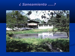 ¿ Saneamiento …..?¿ Saneamiento …..?
 