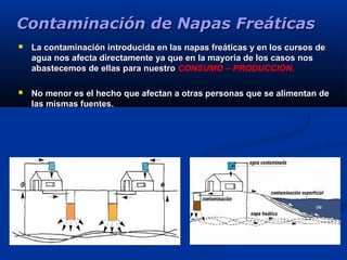 Contaminación de Napas FreáticasContaminación de Napas Freáticas
 La contaminación introducida en las napas freáticas y en los cursos deLa contaminación introducida en las napas freáticas y en los cursos de
agua nos afecta directamente ya que en la mayoría de los casos nosagua nos afecta directamente ya que en la mayoría de los casos nos
abastecemos de ellas para nuestroabastecemos de ellas para nuestro CONSUMO – PRODUCCION.
 No menor es el hecho que afectan a otras personas que se alimentan deNo menor es el hecho que afectan a otras personas que se alimentan de
las mismas fuentes.las mismas fuentes.
 