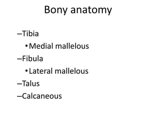 Bony anatomy
–Tibia
•Medial mallelous
–Fibula
•Lateral mallelous
–Talus
–Calcaneous
 