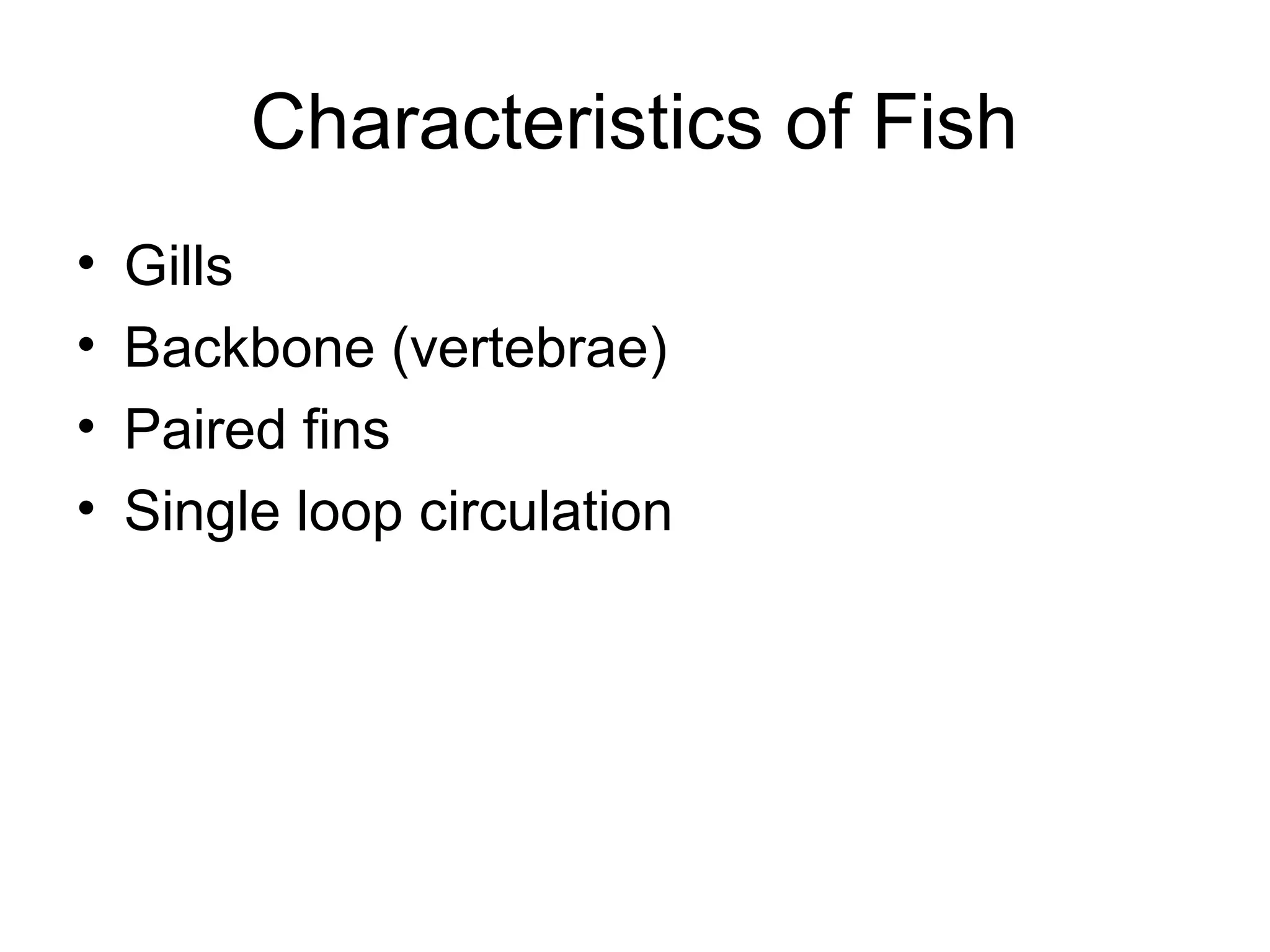 Characteristics of Fish
•   Gills
•   Backbone (vertebrae)
•   Paired fins
•   Single loop circulation
 