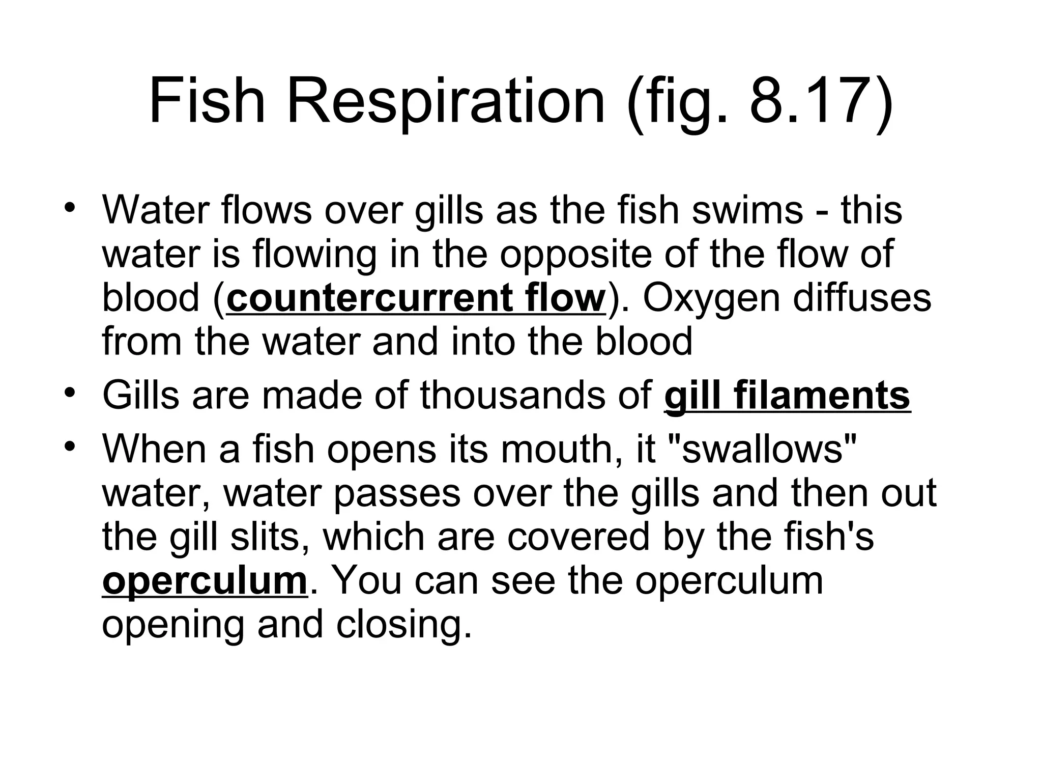 Fish Respiration (fig. 8.17)
• Water flows over gills as the fish swims - this
  water is flowing in the opposite of the flow of
  blood (countercurrent flow). Oxygen diffuses
  from the water and into the blood
• Gills are made of thousands of gill filaments
• When a fish opens its mouth, it "swallows"
  water, water passes over the gills and then out
  the gill slits, which are covered by the fish's
  operculum. You can see the operculum
  opening and closing.
 