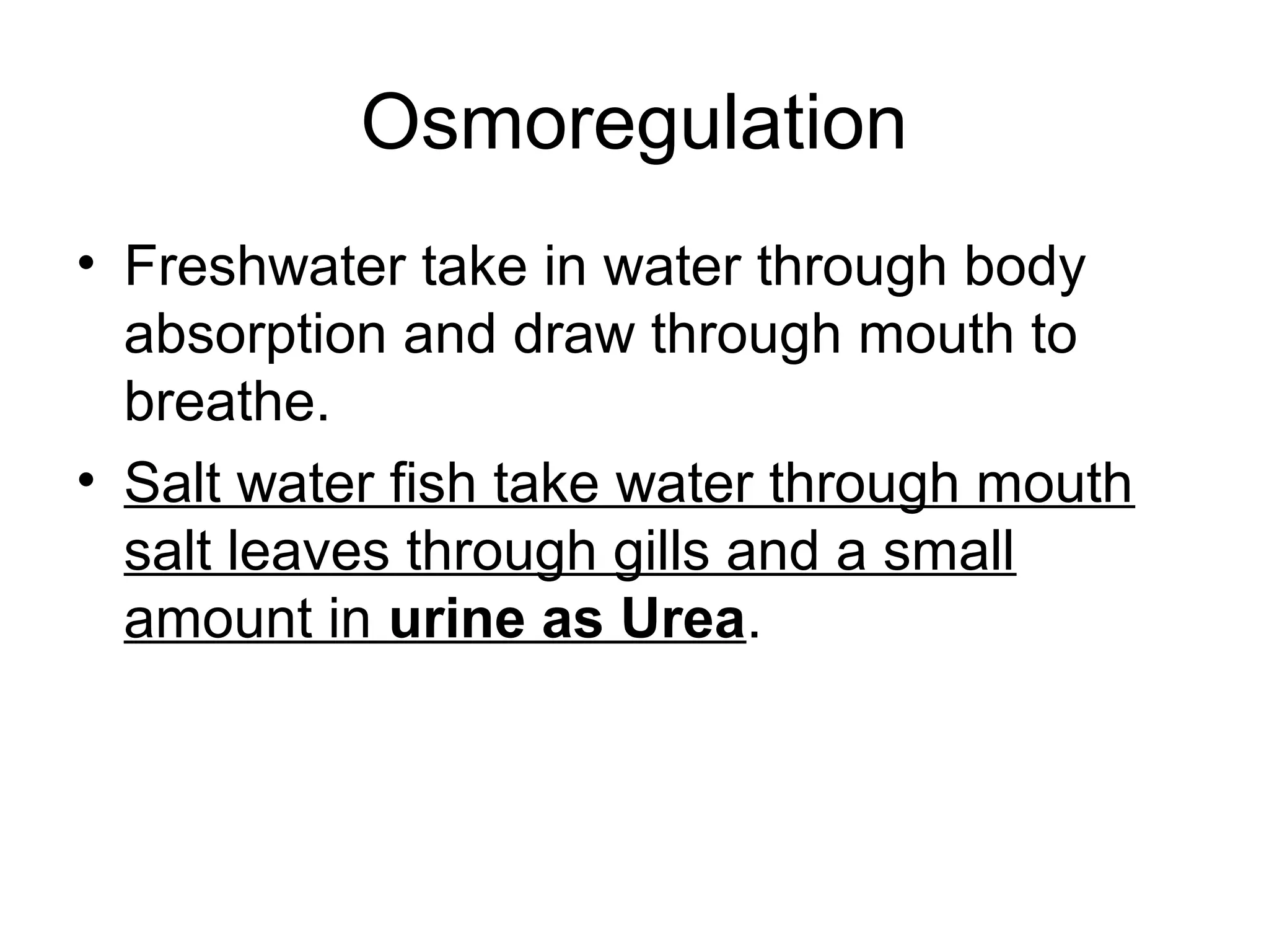Osmoregulation
• Freshwater take in water through body
  absorption and draw through mouth to
  breathe.
• Salt water fish take water through mouth
  salt leaves through gills and a small
  amount in urine as Urea.
 