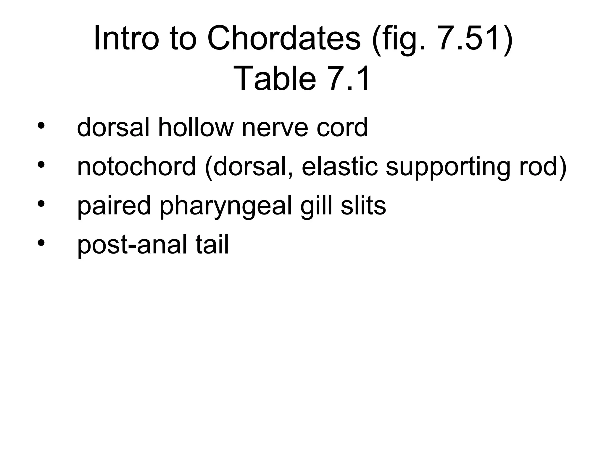 Intro to Chordates (fig. 7.51)
               Table 7.1
•   dorsal hollow nerve cord
•   notochord (dorsal, elastic supporting rod)
•   paired pharyngeal gill slits
•   post-anal tail
 