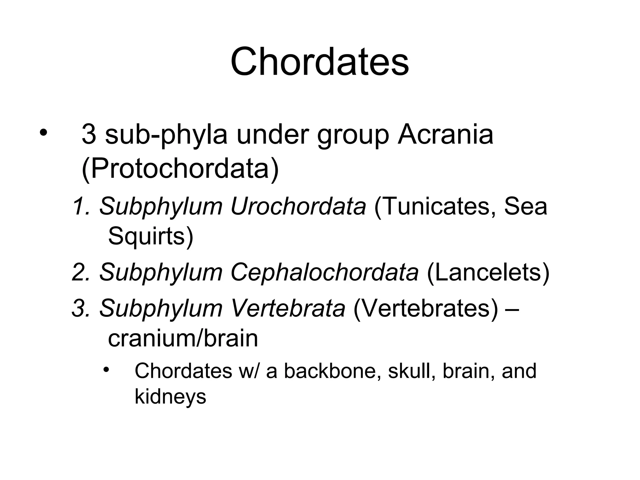 Chordates
•   3 sub-phyla under group Acrania
    (Protochordata)
    1. Subphylum Urochordata (Tunicates, Sea
        Squirts)
    2. Subphylum Cephalochordata (Lancelets)
    3. Subphylum Vertebrata (Vertebrates) –
        cranium/brain
      •   Chordates w/ a backbone, skull, brain, and
          kidneys
 