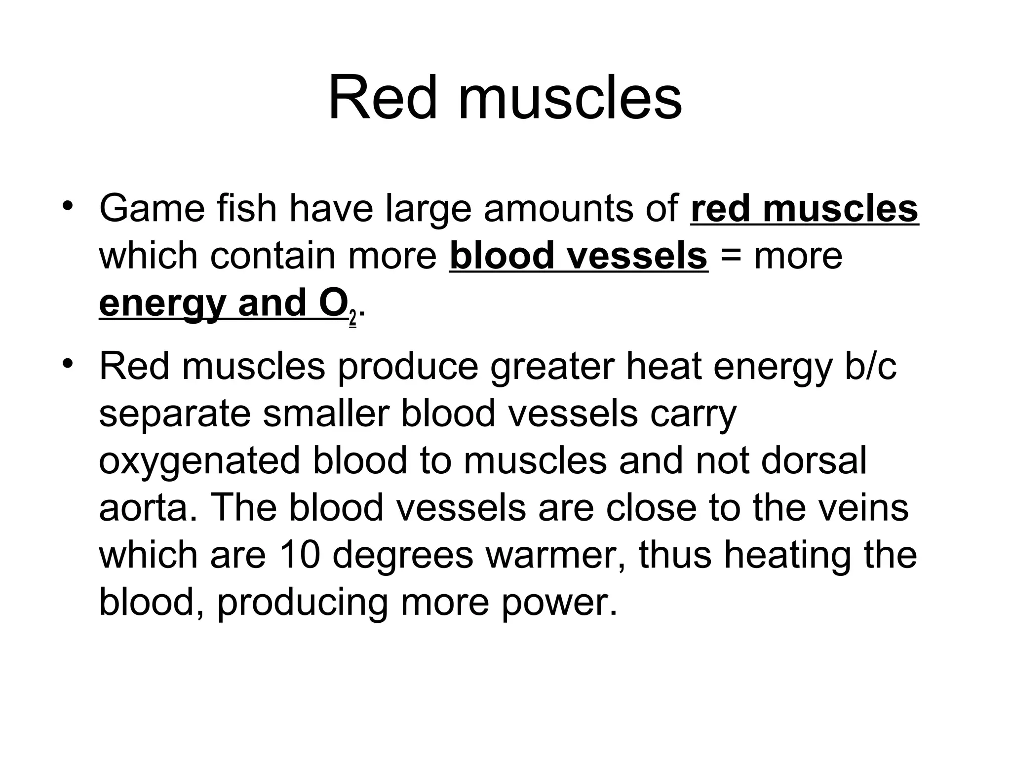 Red muscles
• Game fish have large amounts of red muscles
  which contain more blood vessels = more
  energy and O2.
• Red muscles produce greater heat energy b/c
  separate smaller blood vessels carry
  oxygenated blood to muscles and not dorsal
  aorta. The blood vessels are close to the veins
  which are 10 degrees warmer, thus heating the
  blood, producing more power.
 