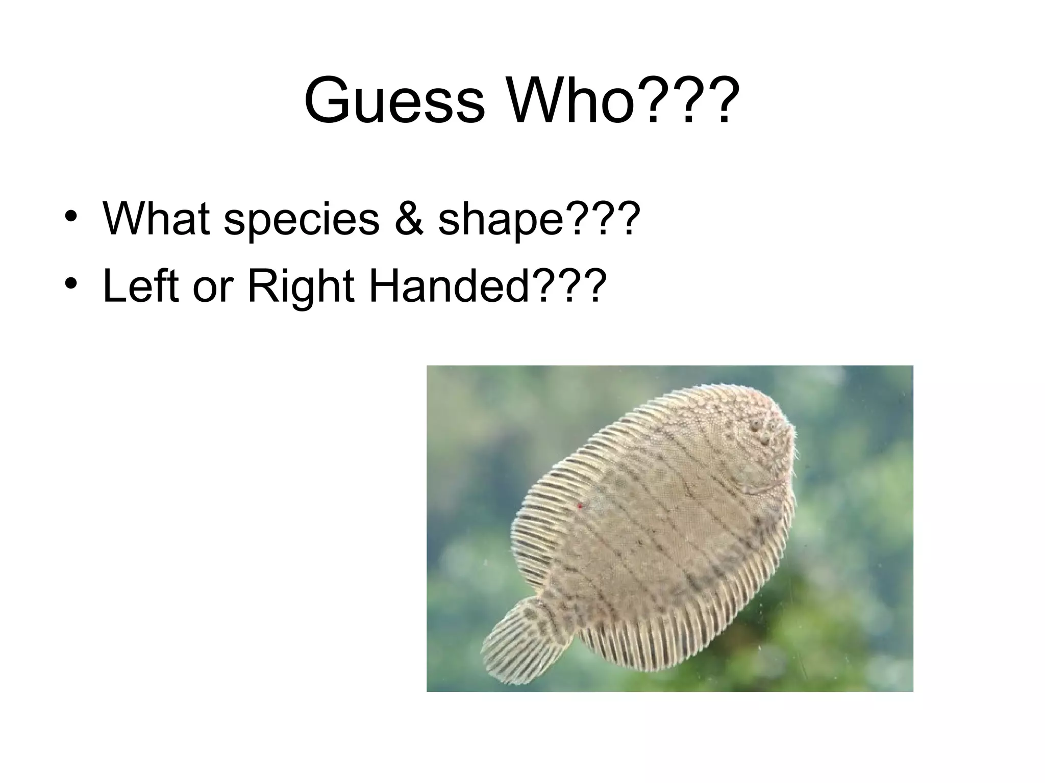 Guess Who???
• What species & shape???
• Left or Right Handed???
 