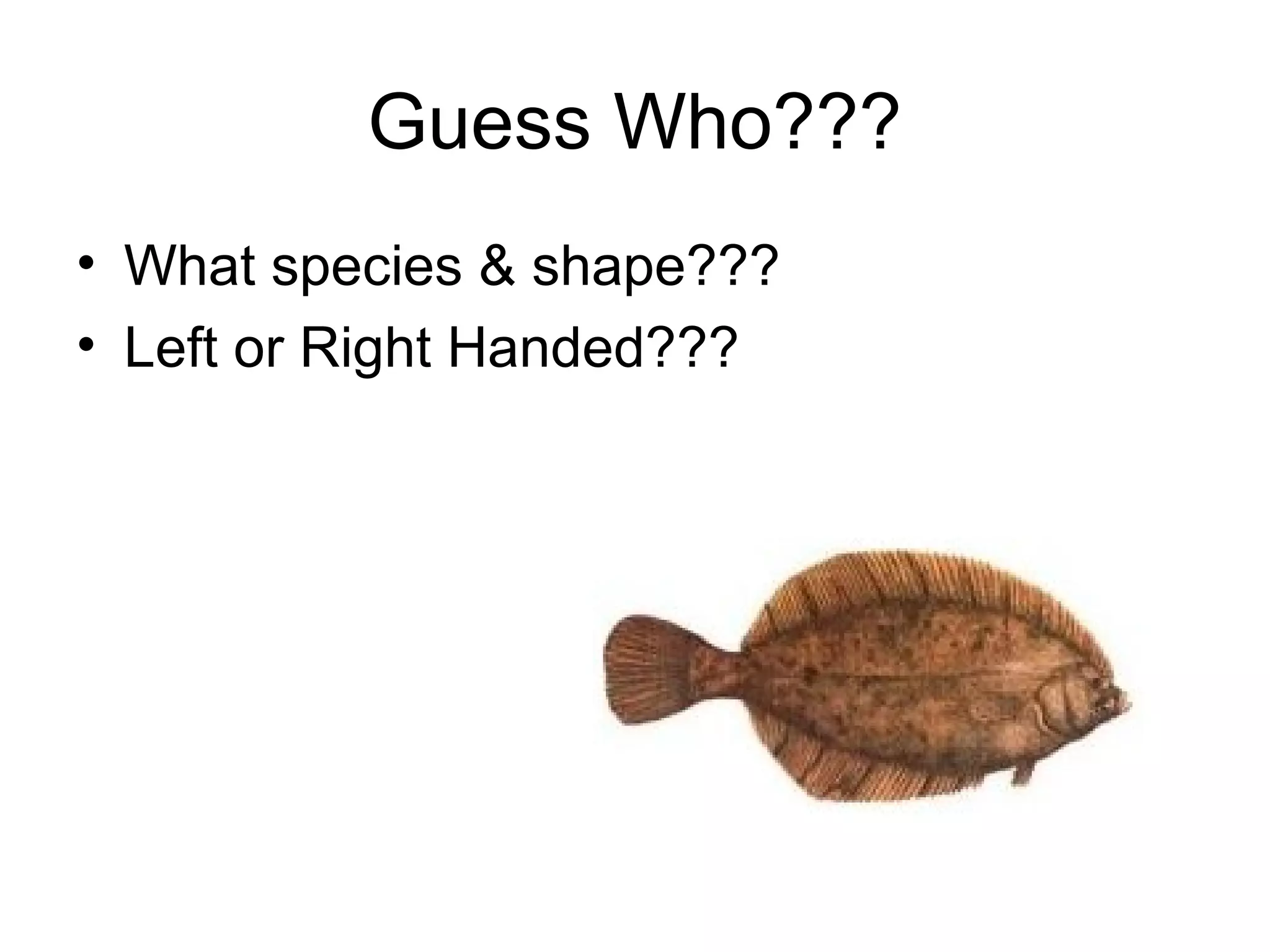 Guess Who???
• What species & shape???
• Left or Right Handed???
 