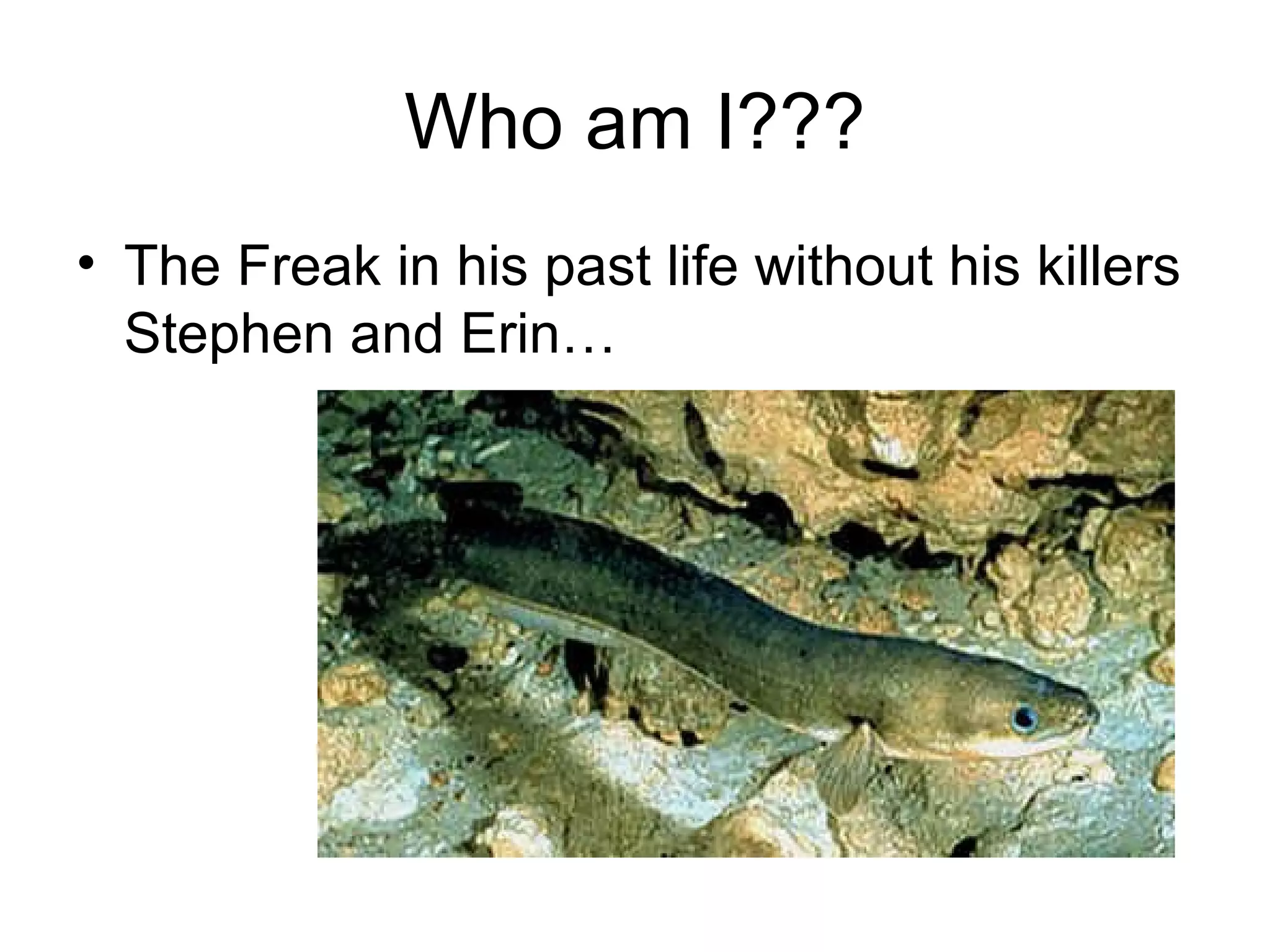 Who am I???
• The Freak in his past life without his killers
  Stephen and Erin…
 