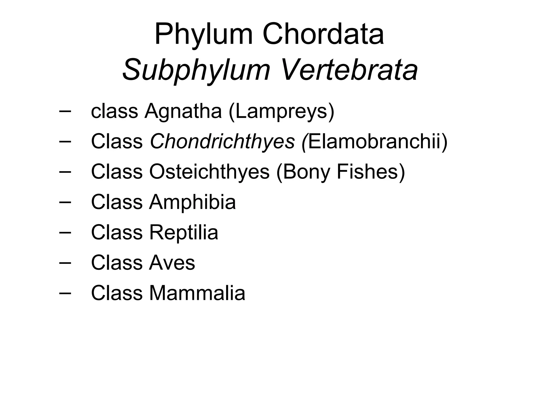 Phylum Chordata
       Subphylum Vertebrata
–   class Agnatha (Lampreys)
–   Class Chondrichthyes (Elamobranchii)
–   Class Osteichthyes (Bony Fishes)
–   Class Amphibia
–   Class Reptilia
–   Class Aves
–   Class Mammalia
 