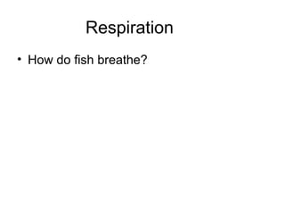 Respiration
• How do fish breathe?
 