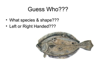 Guess Who???
• What species & shape???
• Left or Right Handed???
 