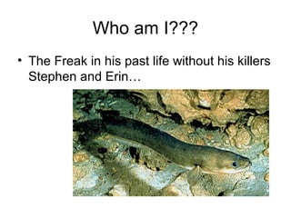 Who am I???
• The Freak in his past life without his killers
  Stephen and Erin…
 