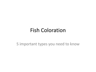 Fish Coloration

5 important types you need to know
 