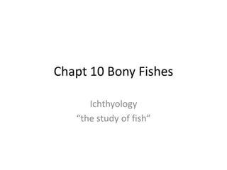 Chapt 10 Bony Fishes

      Ichthyology
   “the study of fish”
 