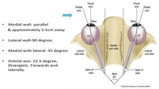 -Clinical anatomy of visual system
 