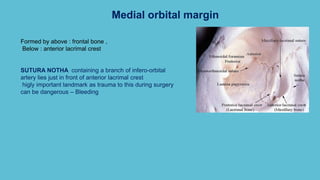 Medial orbital margin
Formed by above : frontal bone ,
Below : anterior lacrimal crest
SUTURA NOTHA containing a branch of infero-orbital
artery lies just in front of anterior lacrimal crest
higly important landmark as trauma to this during surgery
can be dangerous – Bleeding
 
