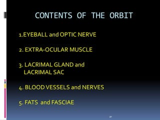 1.EYEBALL and OPTIC NERVE
2. EXTRA-OCULAR MUSCLE
3. LACRIMAL GLAND and
LACRIMAL SAC
4. BLOODVESSELS and NERVES
5. FATS and FASCIAE
30
CONTENTS OF THE ORBIT
 