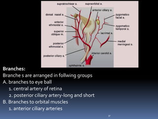 Branches:
Branche s are arranged in follwing groups
A. branches to eye ball
1. central artery of retina
2. posterior ciliary artery-long and short
B. Branches to orbital muscles
1. anterior ciliary arteries
37
 