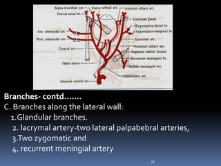 Branches- contd…….
C. Branches along the lateral wall:
1.Glandular branches.
2. lacrymal artery-two lateral palpabebral arteries,
3.Two zygomatic and
4. recurrent meningial artery
39
 