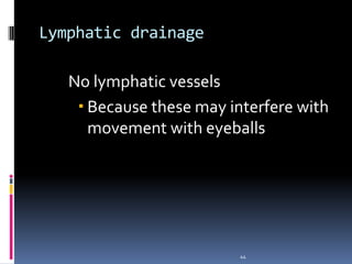 Lymphatic drainage
No lymphatic vessels
 Because these may interfere with
movement with eyeballs
44
 