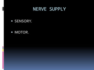 NERVE SUPPLY
 SENSORY.
 MOTOR.
 