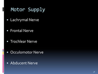 Motor Supply
• Lachrymal Nerve
• Frontal Nerve
• Trochlear Nerve
• Occulomotor Nerve
• Abducent Nerve
48
 