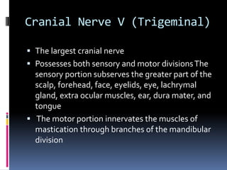 Cranial Nerve V (Trigeminal)
 The largest cranial nerve
 Possesses both sensory and motor divisionsThe
sensory portion subserves the greater part of the
scalp, forehead, face, eyelids, eye, lachrymal
gland, extra ocular muscles, ear, dura mater, and
tongue
 The motor portion innervates the muscles of
mastication through branches of the mandibular
division
 
