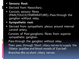  Sensory Root:
 Derived from Nasociliary .
 Consists sensory fibres
(PAIN,TOUCH,TEMPARATURE).-Pass through the
ganglion without relay.
 Sympathetic root:
 Derived from sympathetic plexus around internal
carotid artery.
Consists of Post ganglionic fibres from superior
sympathetic ganglion.
Pass through the ganglion without relay.
Then pass through Short ciliary nerves to supply the
Dilator pupillae and blood vessels of Eye ball.
Branches-8to 10 short ciliary nerves.
 
