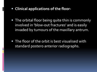  Clinical applications of the floor-
 The orbital floor being quite thin is commonly
involved in 'blow-out fractures' and is easily
invaded by tumours of the maxillary antrum.
 The floor of the orbit is best visualised with
standard postero anterior radiographs.
 