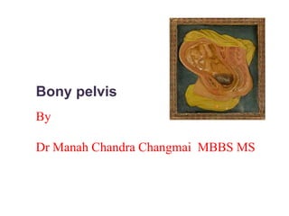 Bony pelvis By Dr Manah Chandra Changmai  MBBS MS 