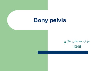 ‫‪Bony pelvis‬‬


          ‫مهاب مصطفى غازي‬
               ‫5401‬
 