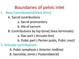 Boundaries of pelvic inlet
I. Bony Contributions(Pelvic Brim)
A. Sacral contributions
a. Sacral promontory
b. Ala of sacrum
B. Contributions by hip bone( linea terminalis)
a. Iliac part ( Arcuate line)
b. Pubic part ( Pecten pubis, Pubic crest)
II. Articular contributions
A. Pubic symphysis ( Anterior midline)
B. Sacroiliac Joints ( Posterolateral)
 