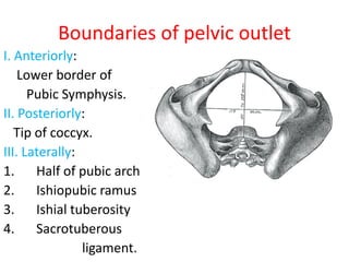 Boundaries of pelvic outlet
I. Anteriorly:
Lower border of
Pubic Symphysis.
II. Posteriorly:
Tip of coccyx.
III. Laterally:
1. Half of pubic arch
2. Ishiopubic ramus
3. Ishial tuberosity
4. Sacrotuberous
ligament.
 