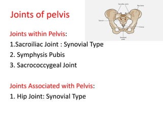 Joints of pelvis
Joints within Pelvis:
1.Sacroiliac Joint : Synovial Type
2. Symphysis Pubis
3. Sacrococcygeal Joint
Joints Associated with Pelvis:
1. Hip Joint: Synovial Type
 
