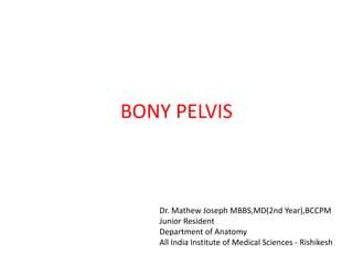 BONY PELVIS
Dr. Mathew Joseph MBBS,MD(2nd Year),BCCPM
Junior Resident
Department of Anatomy
All India Institute of Medical Sciences - Rishikesh
 
