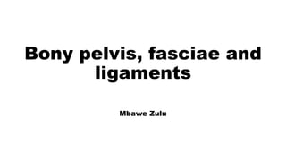 Bony pelvis, fasciae and
ligaments
Mbawe Zulu
 