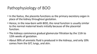Pathophysiology of BOO
• In the foetus, the placenta functions as the primary excretory organ in
place of the kidney throughout gestation.
• Hence, in the new-born with BOO, the renal function is usually similar
to the normal maternal levels initially because of the placental
function.
• The kidneys commence gradual glomerular filtration by the 11th to
12th weeks of gestation.
• About 90% of amniotic fluid is produced in the kidneys, and only 10%
comes from the GIT, lungs, and skin.
 