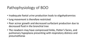 Pathophysiology of BOO
• Inadequate foetal urine production leads to oligohydramnios
• lung movement is therefore restricted
• Poor acinar growth and decreased surfactant production due to
decreased fluid in the bronchial tree
• The newborn may have compressed limbs, Potter’s facies, and
pulmonary hypoplasia presenting with respiratory distress and
pneumothorax
 