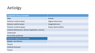 Aetiolgy
Congenital urinary anomalies
Male Female
Posterior urethral valves Vaginal obstruction
Anterior urethral valves Urogenital sinus
Posterior urethral polyps Cloacal abnormalities
Urethral diverticulum, atresia, duplication, stricture
Ureterocele
Prune belly syndrome
Acquired urogenital anomalies
Bladder neck fibrosis
Trauma
Urethral strictures
Tumors
 