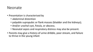 Neonate
• Presentation is characterised by
• abdominal distention
• palpable suprapubic or flank masses (bladder and the kidneys);
• And/or urachal cyst, fistula, or abscess.
• Neonatal sepsis and respiratory distress may also be present.
• Parents may give a history of urine dribble, poor stream, and failure
to thrive in the young infant
 