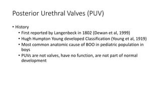 Posterior Urethral Valves (PUV)
• History
• First reported by Langenbeck in 1802 (Dewan et al, 1999)
• Hugh Humpton Young developed Classification (Young et al, 1919)
• Most common anatomic cause of BOO in pediatric population in
boys
• PUVs are not valves, have no function, are not part of normal
development
 