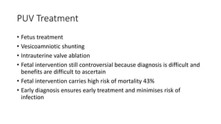 PUV Treatment
• Fetus treatment
• Vesicoamniotic shunting
• Intrauterine valve ablation
• Fetal intervention still controversial because diagnosis is difficult and
benefits are difficult to ascertain
• Fetal intervention carries high risk of mortality 43%
• Early diagnosis ensures early treatment and minimises risk of
infection
 