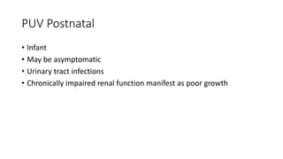 PUV Postnatal
• Infant
• May be asymptomatic
• Urinary tract infections
• Chronically impaired renal function manifest as poor growth
 