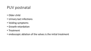 PUV postnatal
• Older child
• Urinary tact infections
• Voiding symptoms
• Growth retardation
• Treatment
• endoscopic ablation of the valves is the initial treatment
 