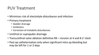 PUV Treatment
• Minimises risk of electrolyte disturbance and infection
• Primary treatment
• bladder drainage
• Antibiotics
• Correction of metabolic disturbances
• Urethral or suprapubic drainage
• Transurethral valve ablation definitive RX – incision at 4 and 8 o’ clock
• Post op catheterisation only when significant intra op bleeding but
may be left for 1 or 2 days
 