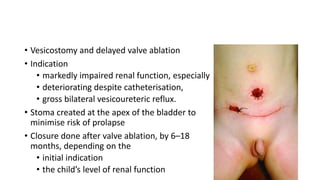 • Vesicostomy and delayed valve ablation
• Indication
• markedly impaired renal function, especially
• deteriorating despite catheterisation,
• gross bilateral vesicoureteric reflux.
• Stoma created at the apex of the bladder to
minimise risk of prolapse
• Closure done after valve ablation, by 6–18
months, depending on the
• initial indication
• the child’s level of renal function
 