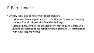 PUV treatment
• Urinary leaks due to high intravesical pressure
• Urinary ascites and perinephric collections or ‘urinomas’ usually
respond to a short period of bladder drainage.
• Large or persistent perirenal collections may require ultrasound-
guided percutaneous aspiration or open drainage (in combination
with open nephrostomy)
 